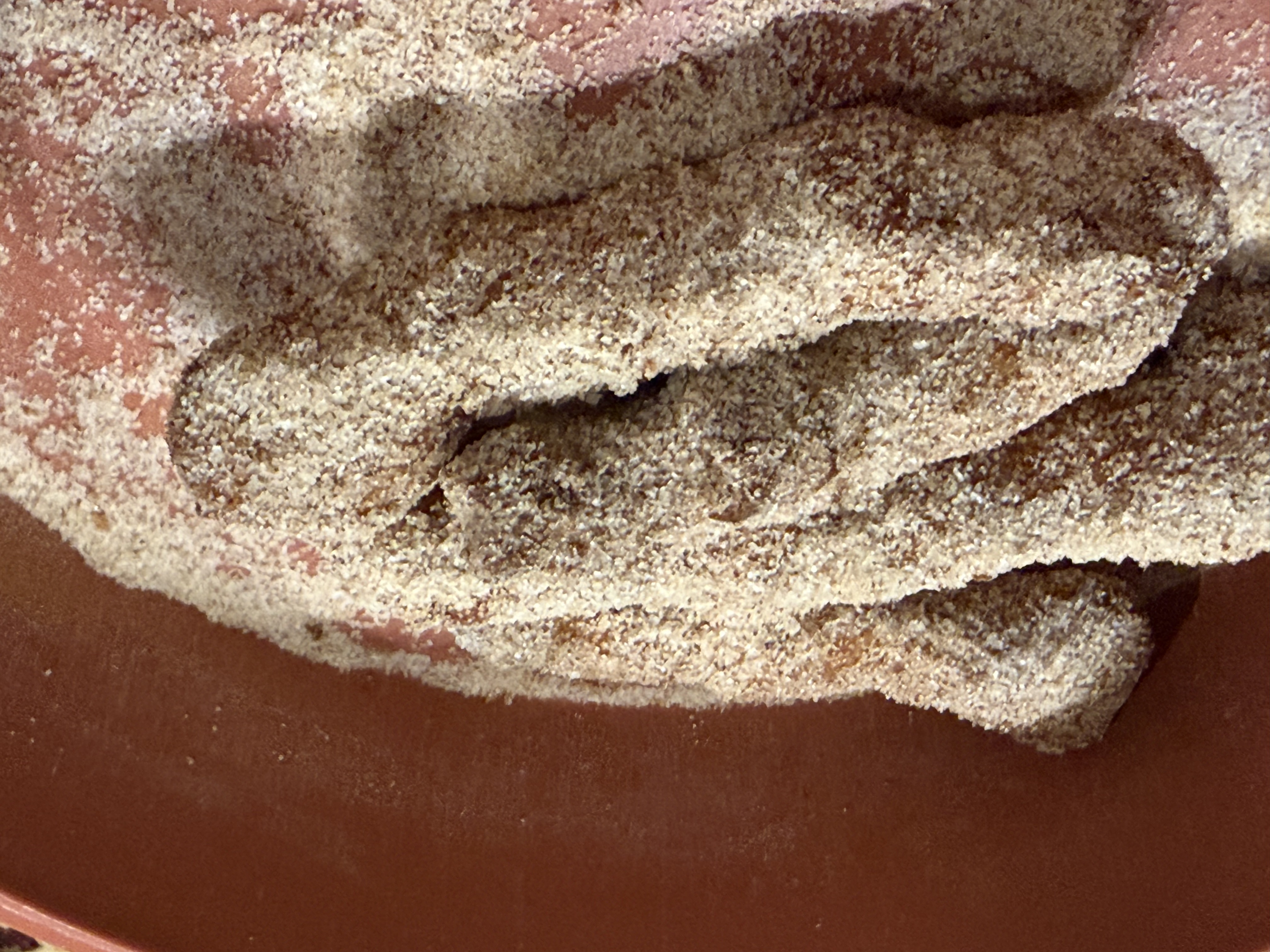 Churros coated in cinnamon sugar in a terracotta bowl