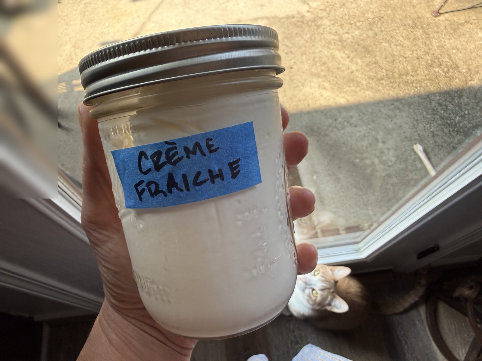 Homemade crème fraîche in a jar on the patio, with Mulch the cat nearby