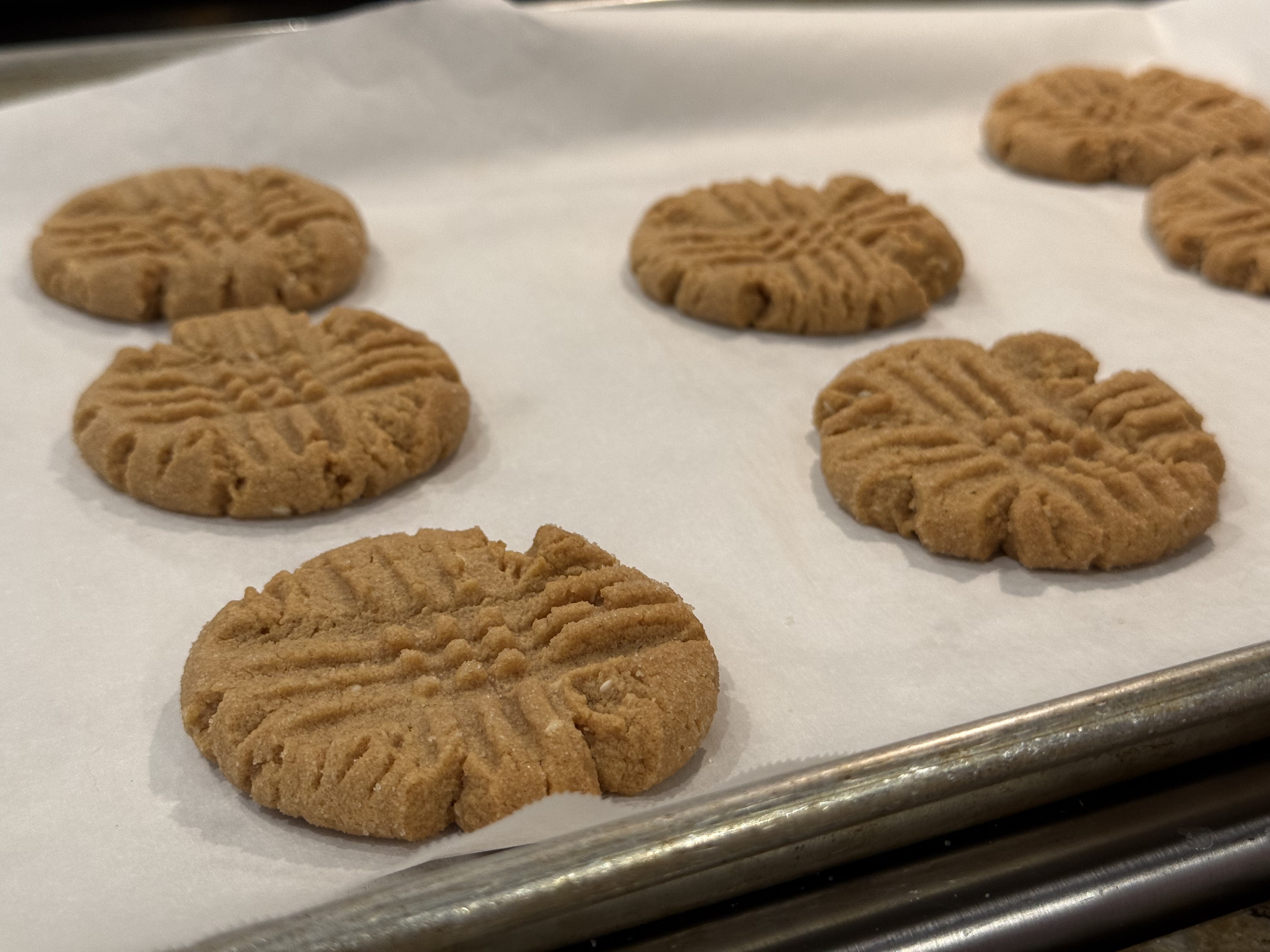 Peanut butter cookies fresh from the oven on baking sheet